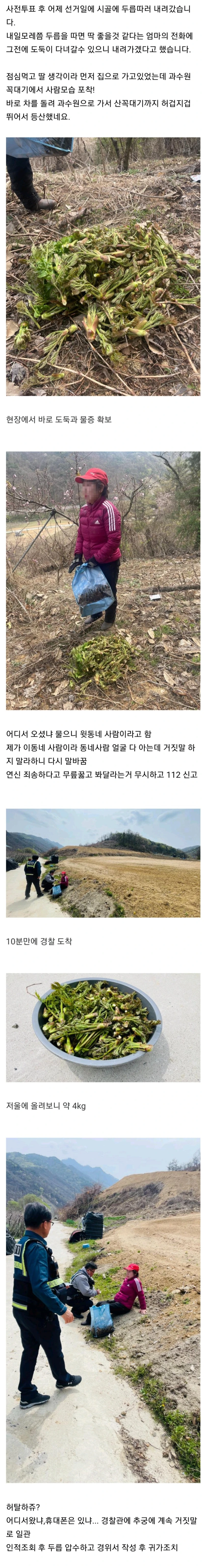 두릅도둑을 잡았습니다.jpg