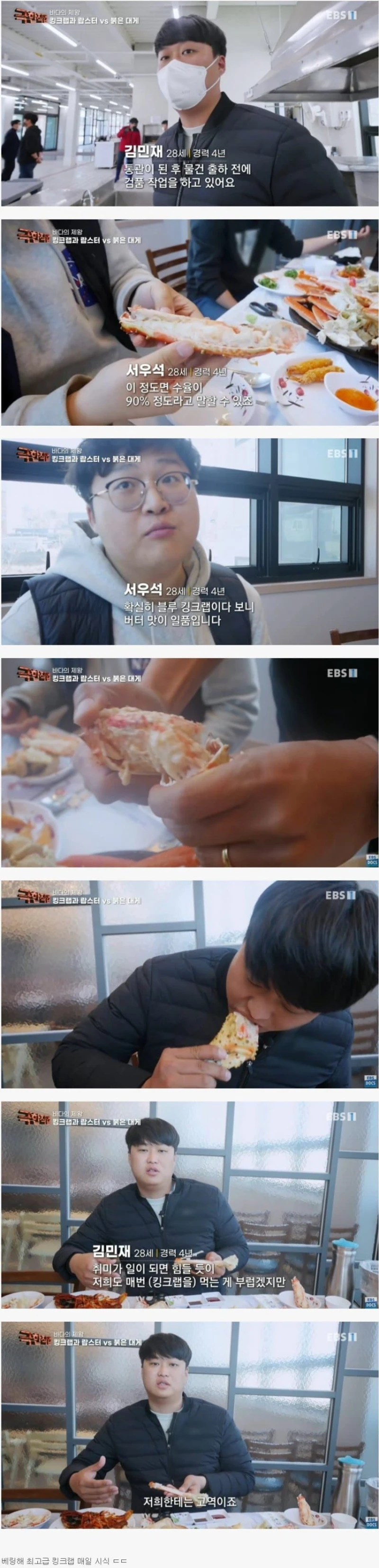 매일 킹크랩을 먹어야 하는 극한직업ㄷㄷ.jpg