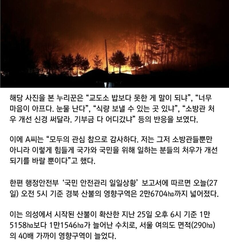 산불 진화한 소방관님들의 저녁식사 -4