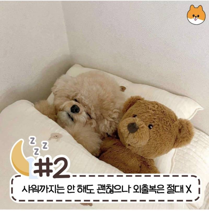 현재 반응갈리는 침대 허용 범위-2