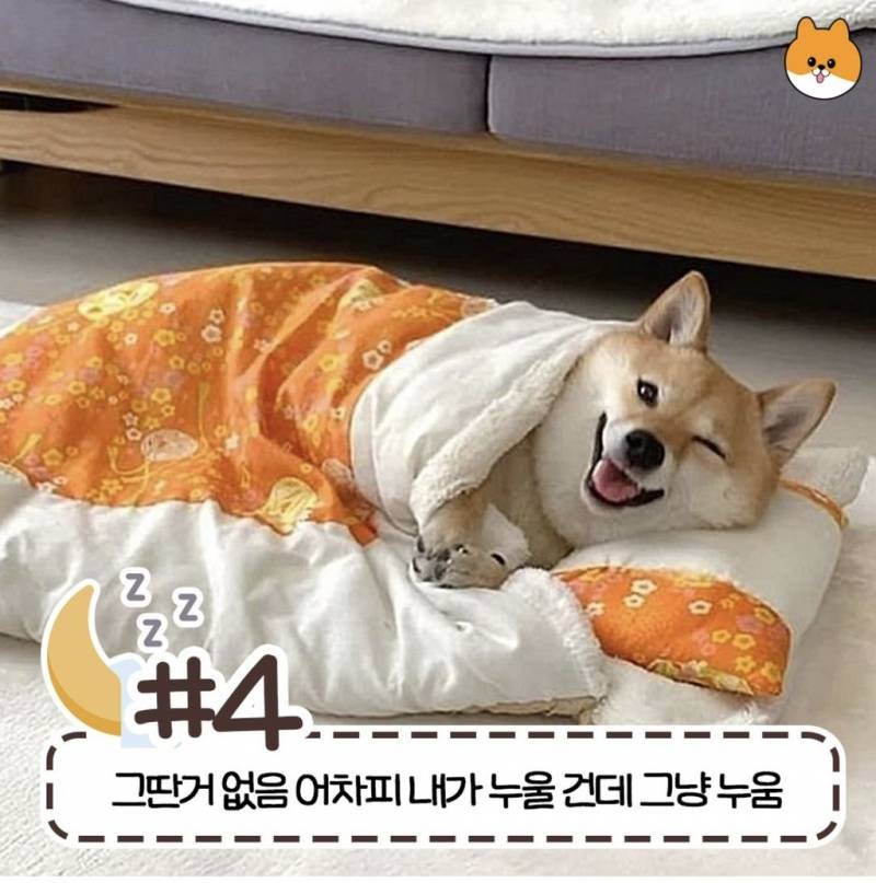 현재 반응갈리는 침대 허용 범위-4