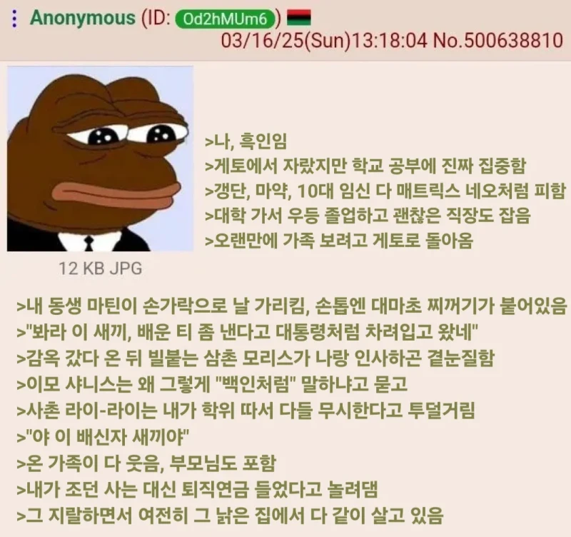 어느 대졸자 흑인의 가정사 