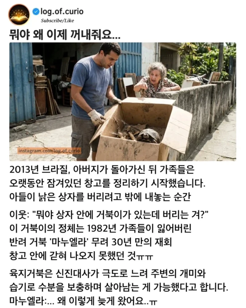 30년 만에 발견한 반려거북
