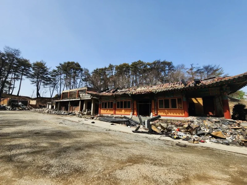 건축도 힙해진 불교 근황