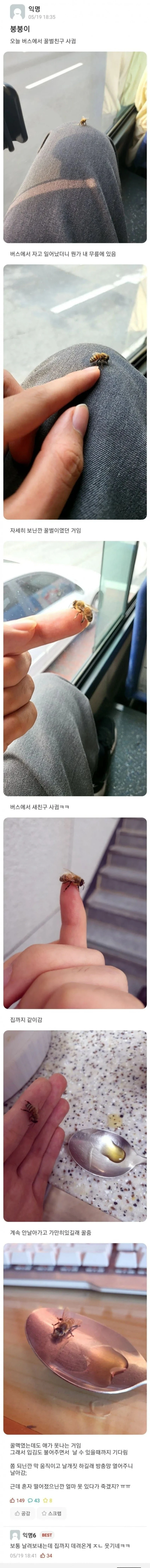 꿀벌 친구를 사귄 사람 