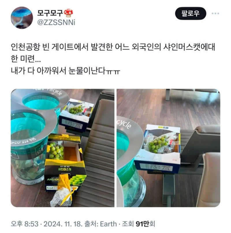 인천공항 눈물의 샤인머스킷