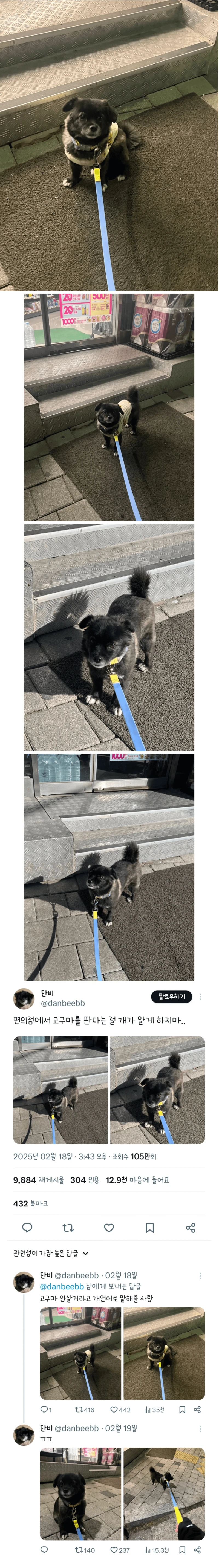 편의점에서 고구마를 판다는 걸 알게된 강아지