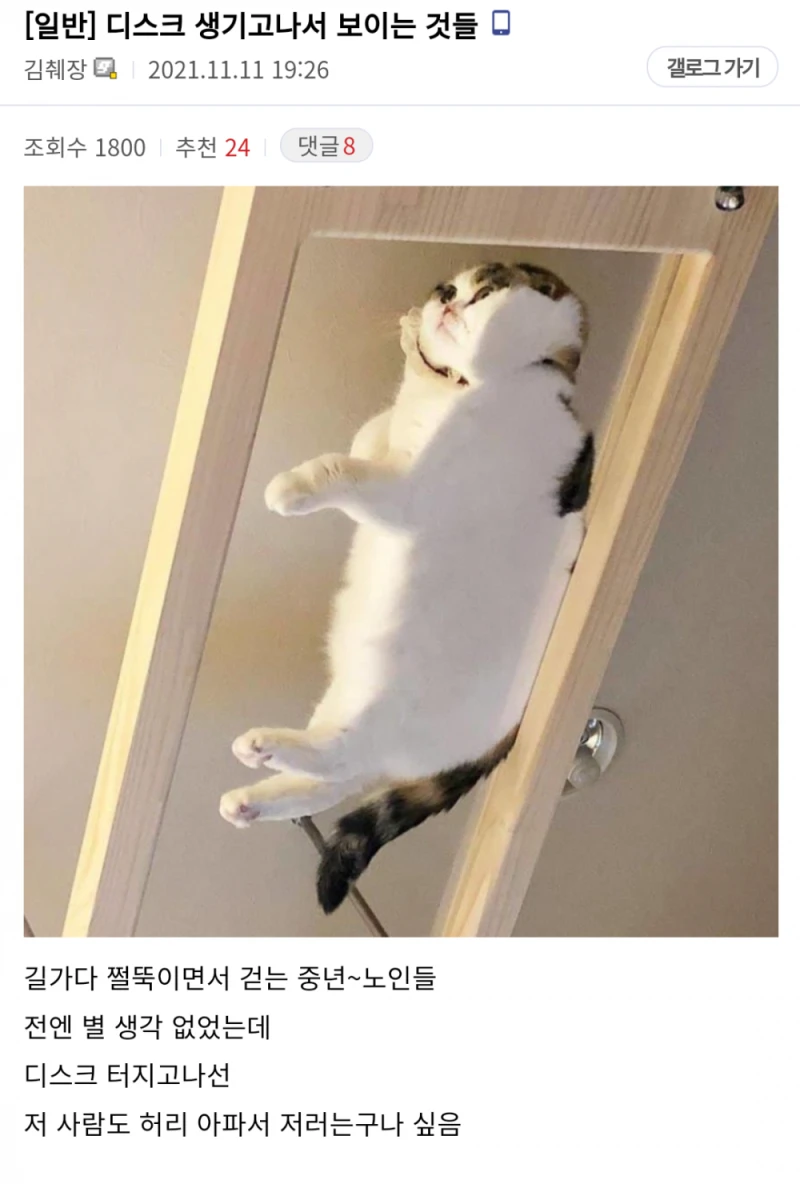 허리디스크가 파열되고 나서야 보이는 것들